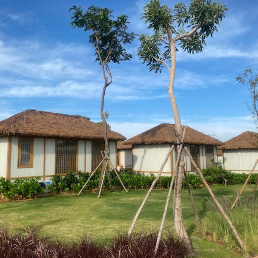 Toàn cảnh các căn bungalow mái rơm nhân tạo giữa khu vườn xanh rơm giả lợp mái