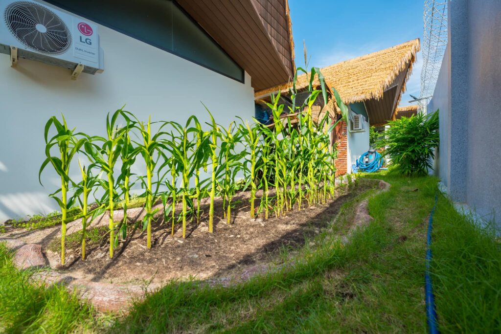 Rơm Nhân Tạo 2025 Mái Lá Ấn Tượng Cho Apple House & Coffee – Bà Rịa 7 Cót ép nhân tạo (hay còn gọi là mành cót ép nhân tạo) là vật liệu được sản xuất từ nhựa tổng hợp cao cấp, mô phỏng hoa văn và cấu trúc đan lát truyền thống như tre, nứa. Bề mặt cót được thiết kế giống như các mắt đan thật, nhưng khắc phục hoàn toàn nhược điểm của vật liệu tự nhiên như mục, mối mọt, cong vênh.
