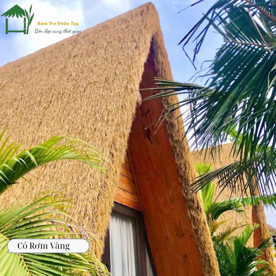 Cỏ rơm vàng lợp mái homestay