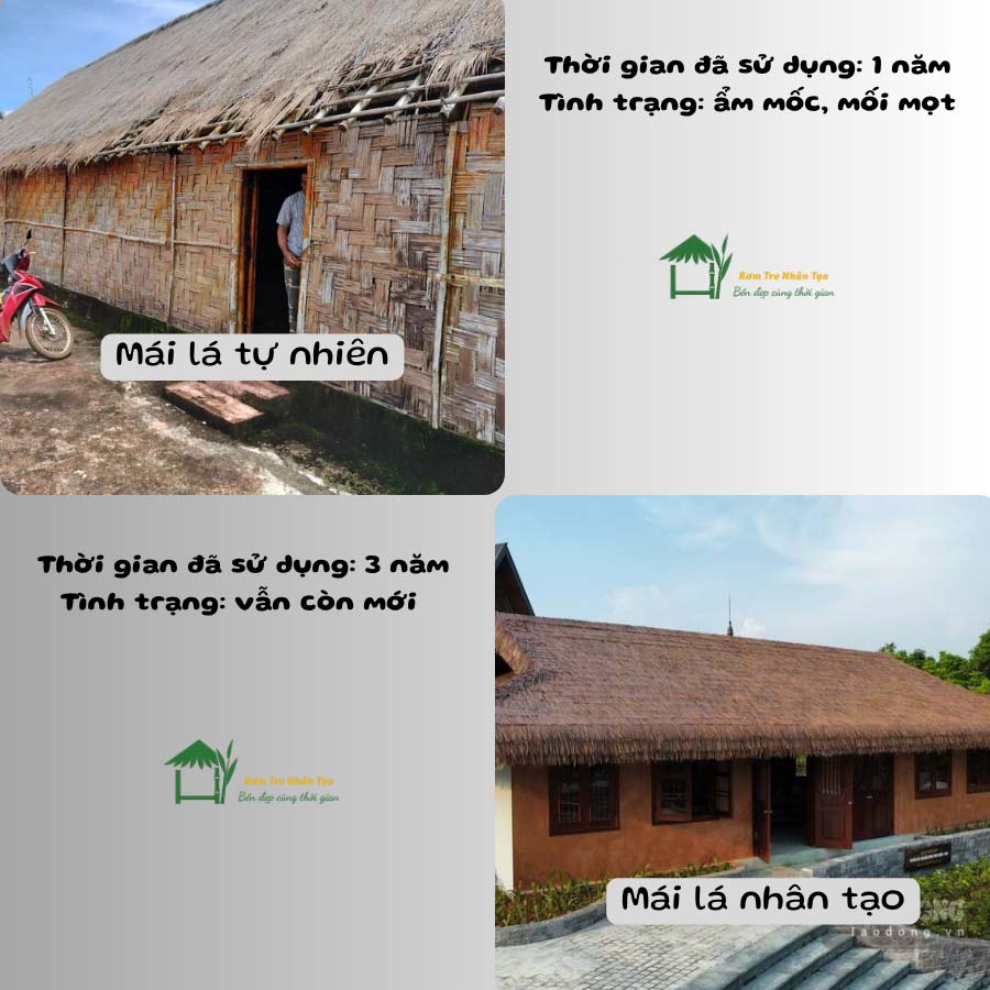 So sánh giữa mái lá tự nhiên và mái lá nhân tạo sau 1 năm sử dụng