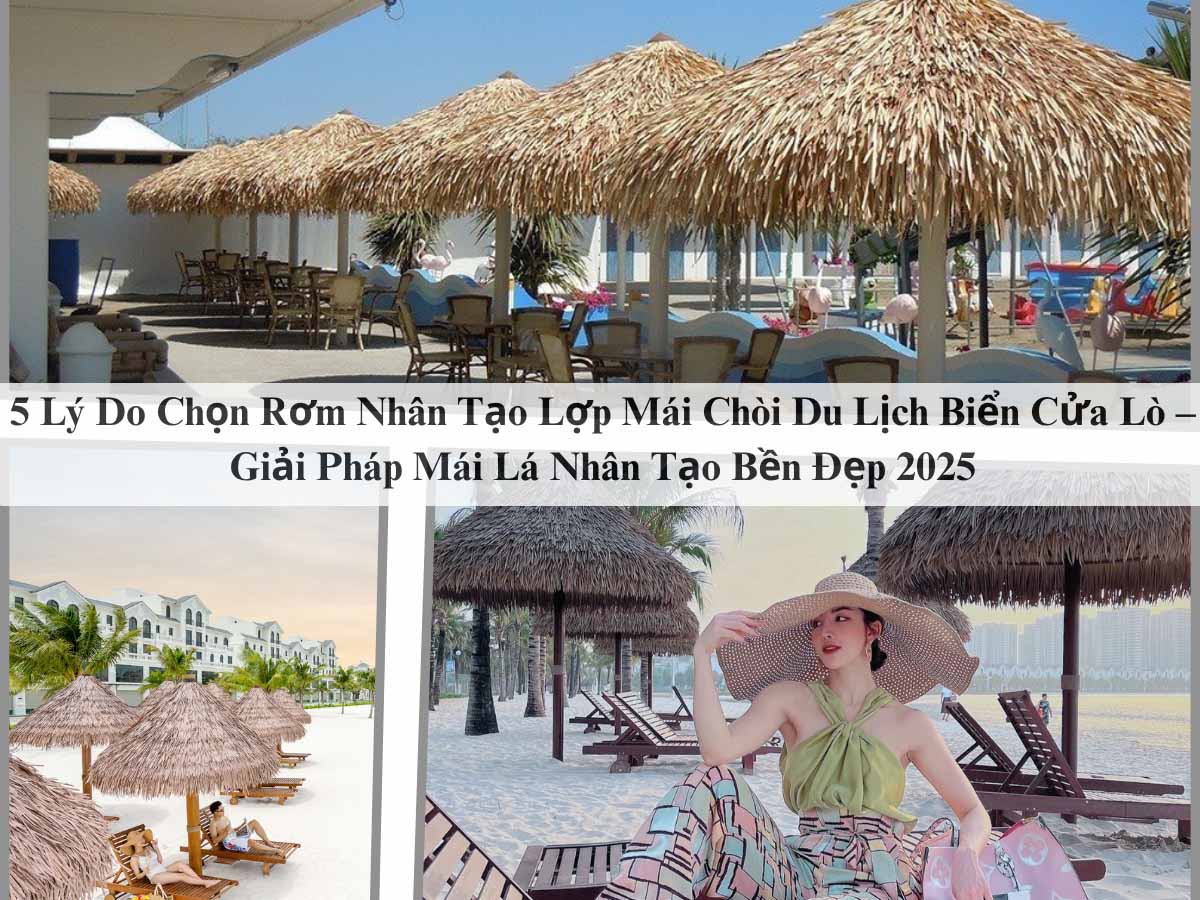 5 Ly Do Chon Rom Nhan Tao Lop Mai Choi Du Lich Bien Cua Lo – Giai Phap Mai La Nhan Tao Ben Dep 2025