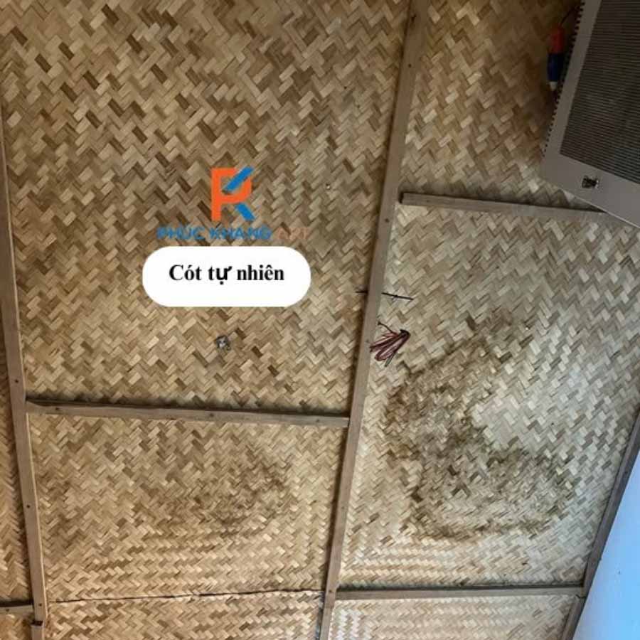 Cót ép tự nhiên rất nhanh bị ẩm mốc, rêu hóa