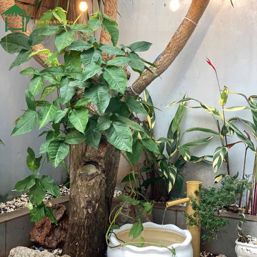 Trang trí tiểu cảnh sân vườn từ ống tre nhựa