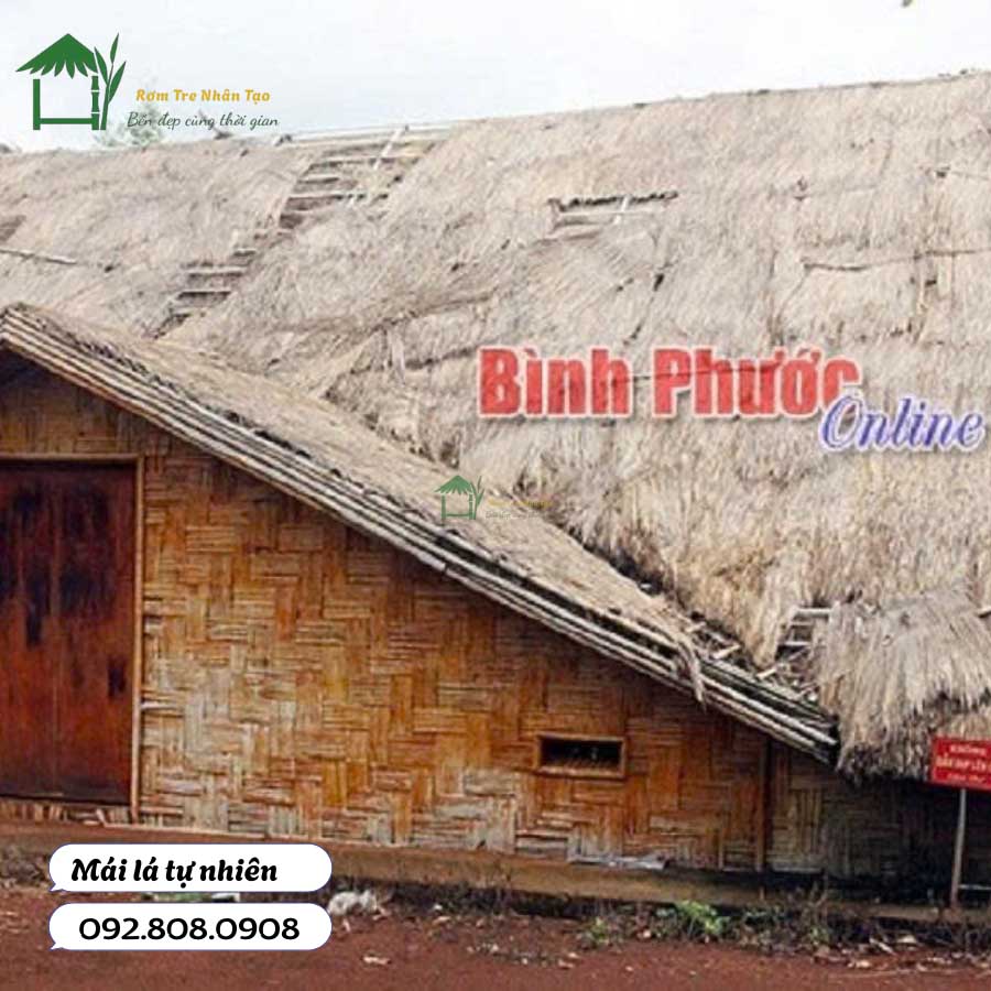 Mai lá tự nhiên dễ mục nát theo thời gian ngắn