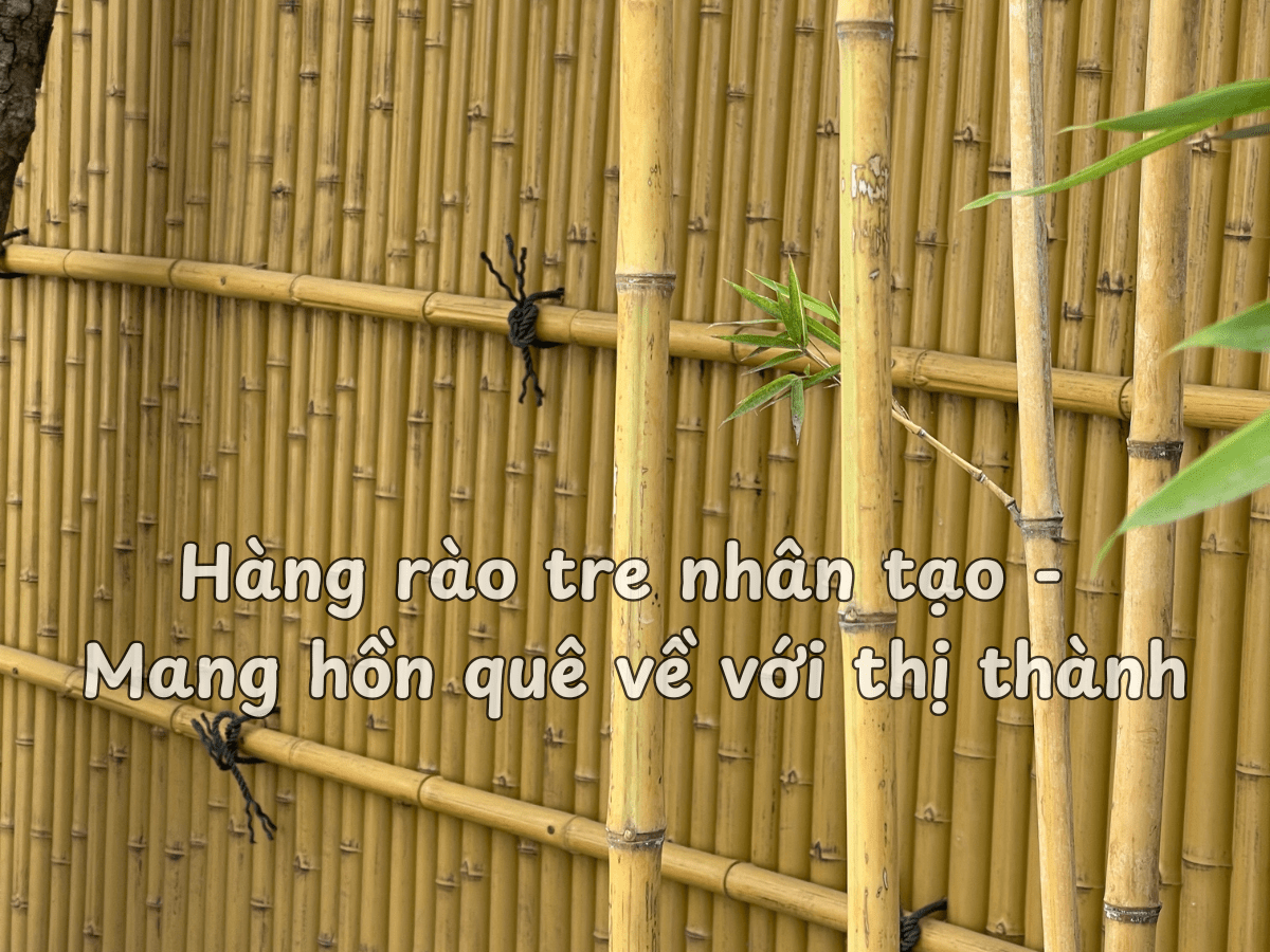 Hàng rào tre nhân tạo - Mang hồn quê về với thị thành
