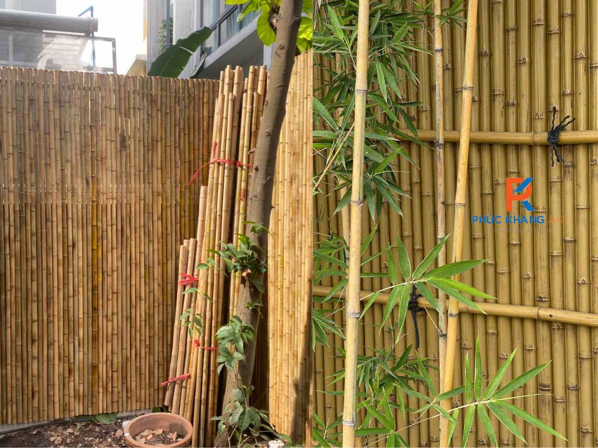 Hình ảnh so sánh thực tế giữa tre nhựa và tre tự nhiên