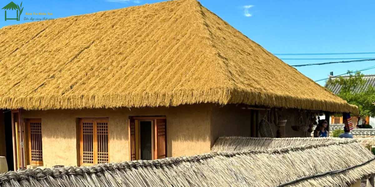 CỎ RƠM VÀNG LỢP MÁI