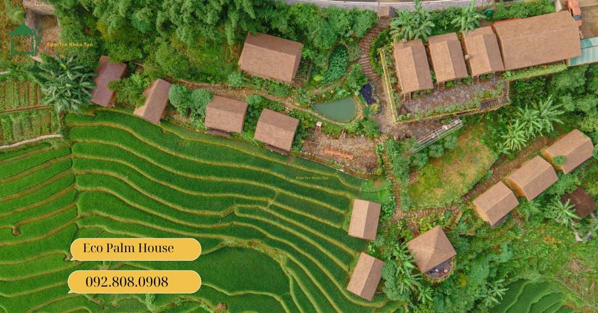 Toàn cảnh Eco Palm House từ trên cao